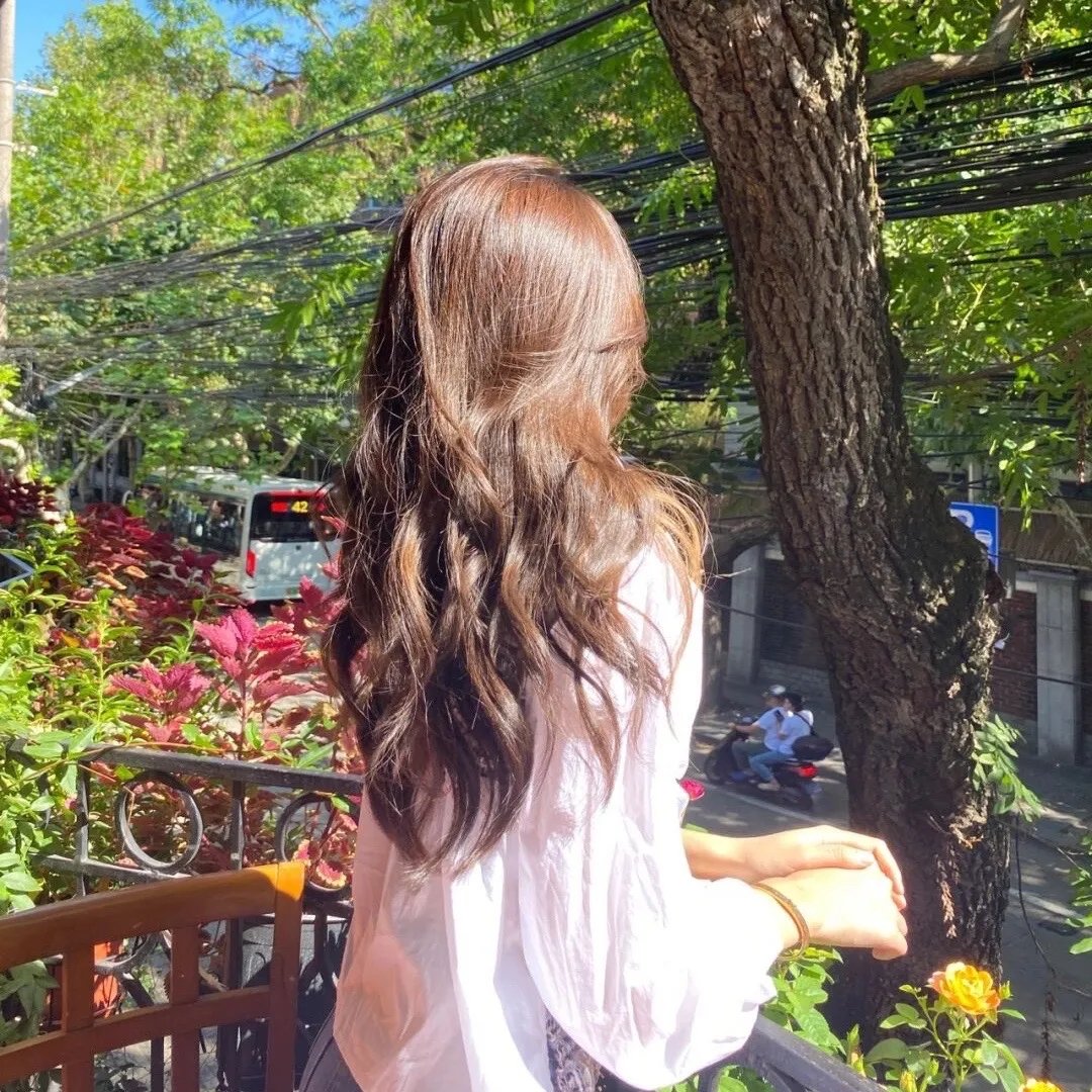 做一只鸟真不容易