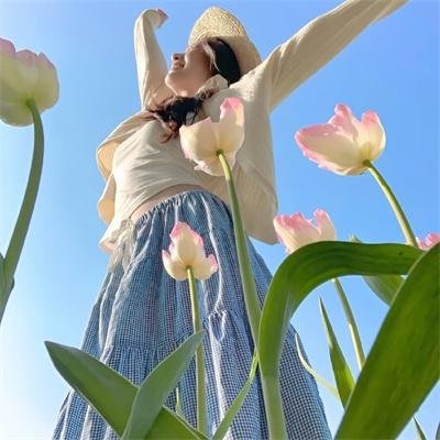 玛雅蜜蜂大冒险